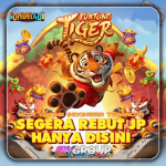 Fortune Tiger Slot